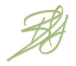 Brady Kay signature
