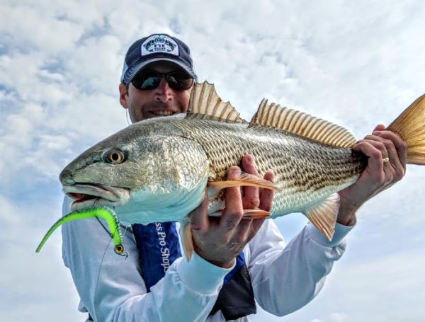 The Texas Rig, Reimagined for Redfish Z-Man's® free-swinging Texas Eye™  Jighead sheds snags, activates ElaZtech®
