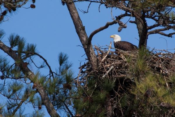 Photo by Alabama Mountain Lakes Tourist Association